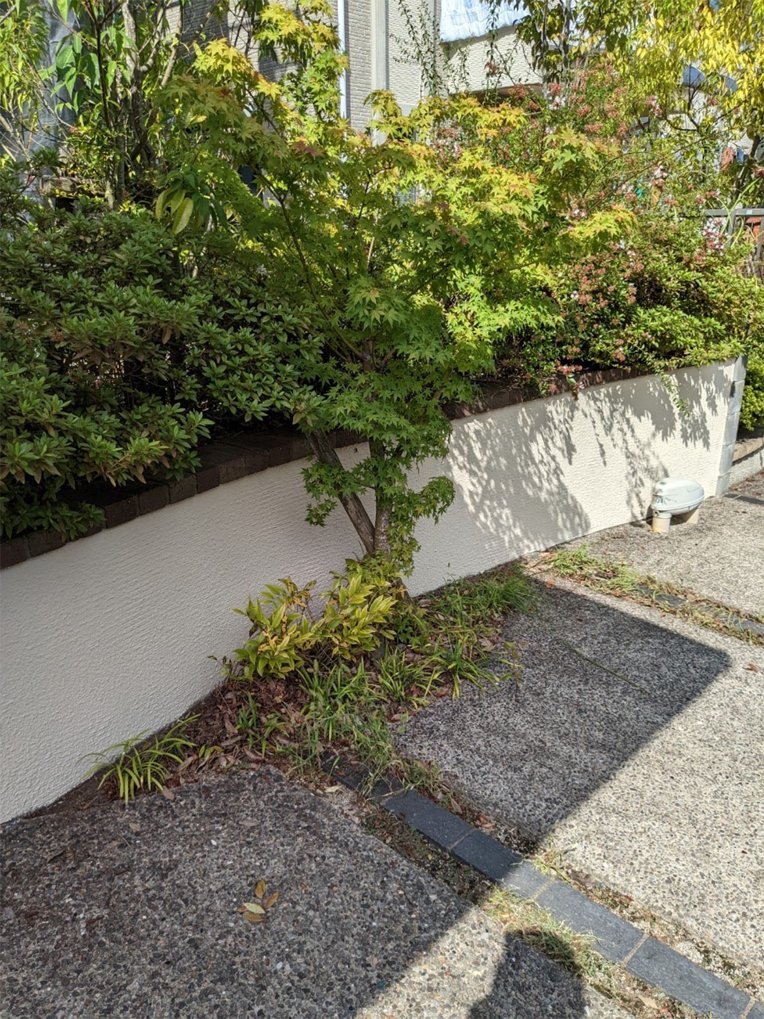 福岡県大野城市 Y様邸 塀塗装完了 写真16